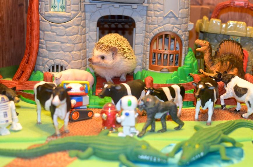 PP Farm II - 11 of 11