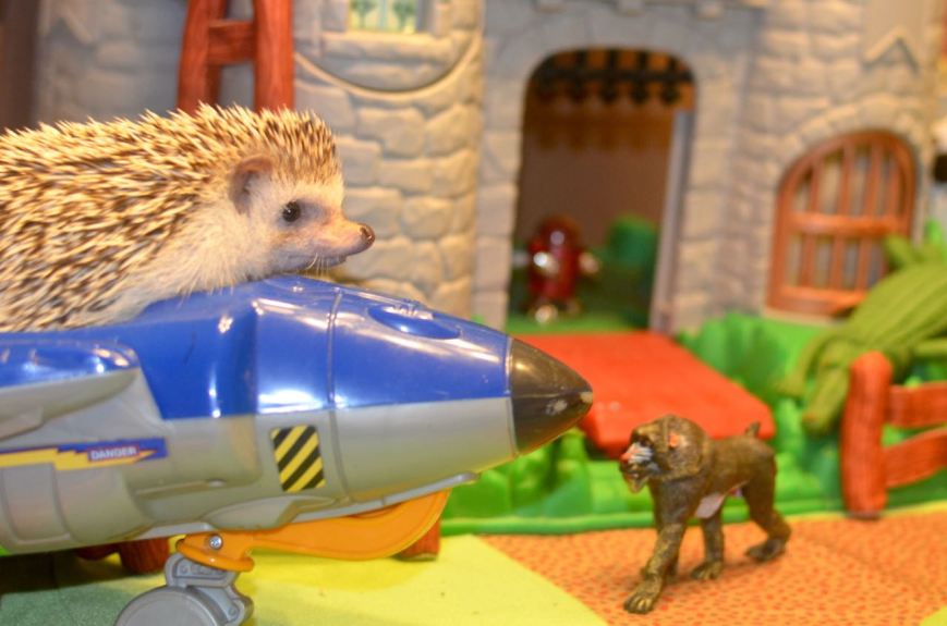 PP Farm II - 4 of 11