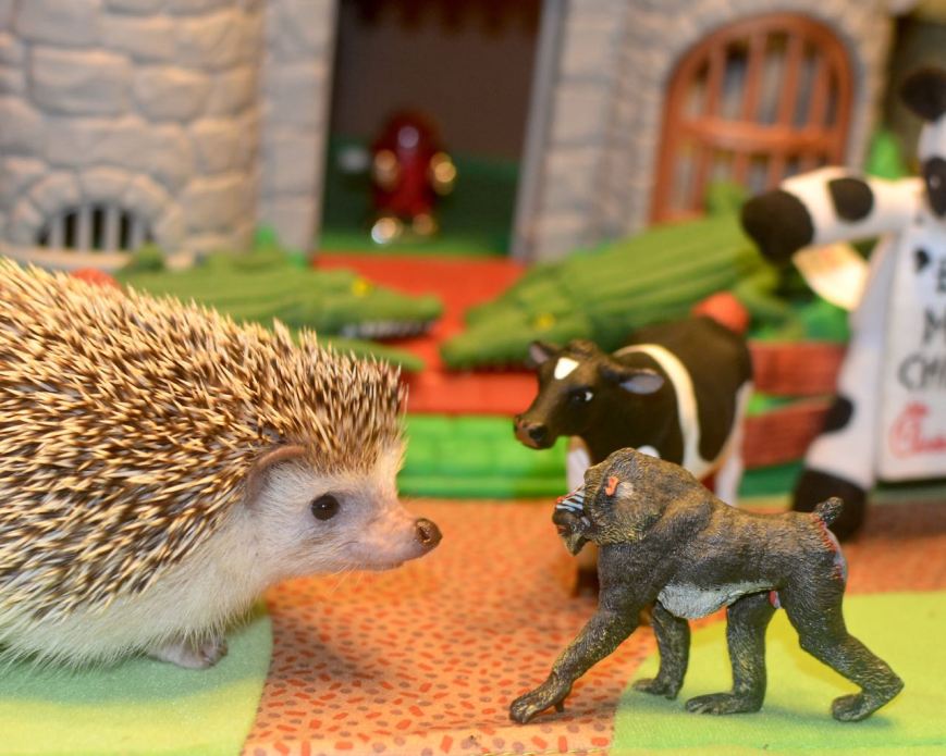 PP Farm II - 8 of 11