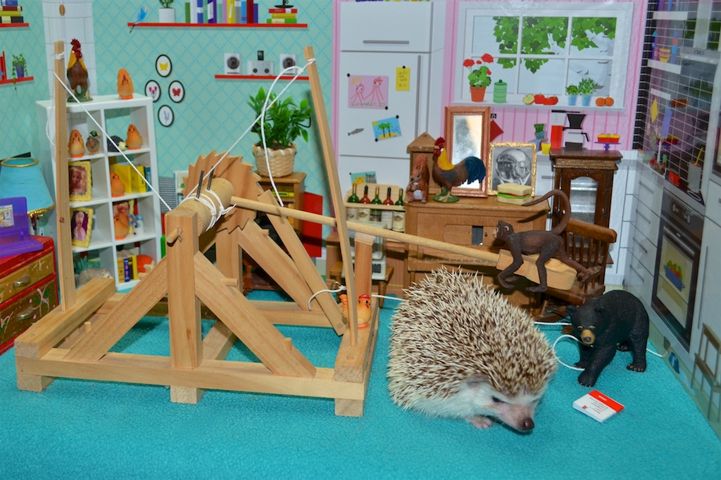 Catapult launching monkey inside