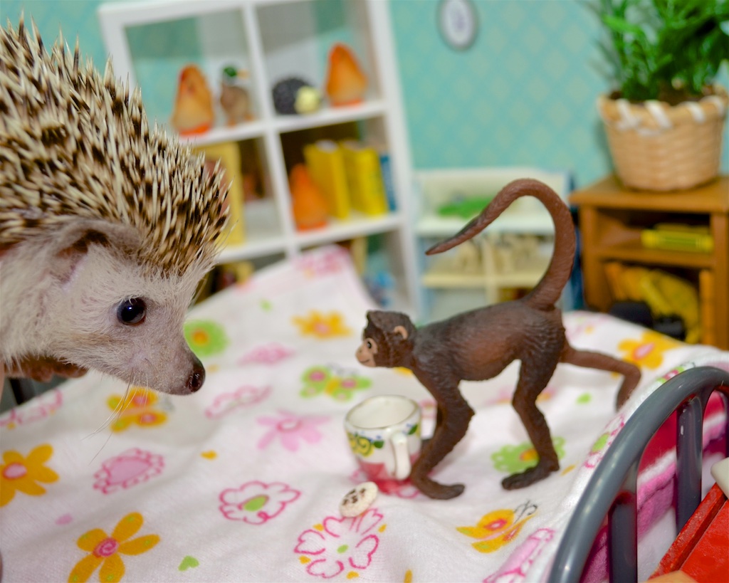 Monkey Eating In Bed, hedgehog looking on forlornly