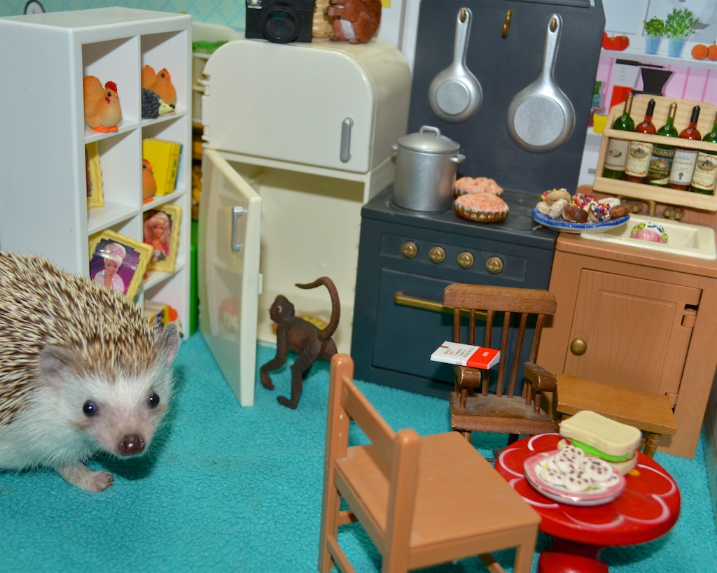Monkey Standing in Open Fridge