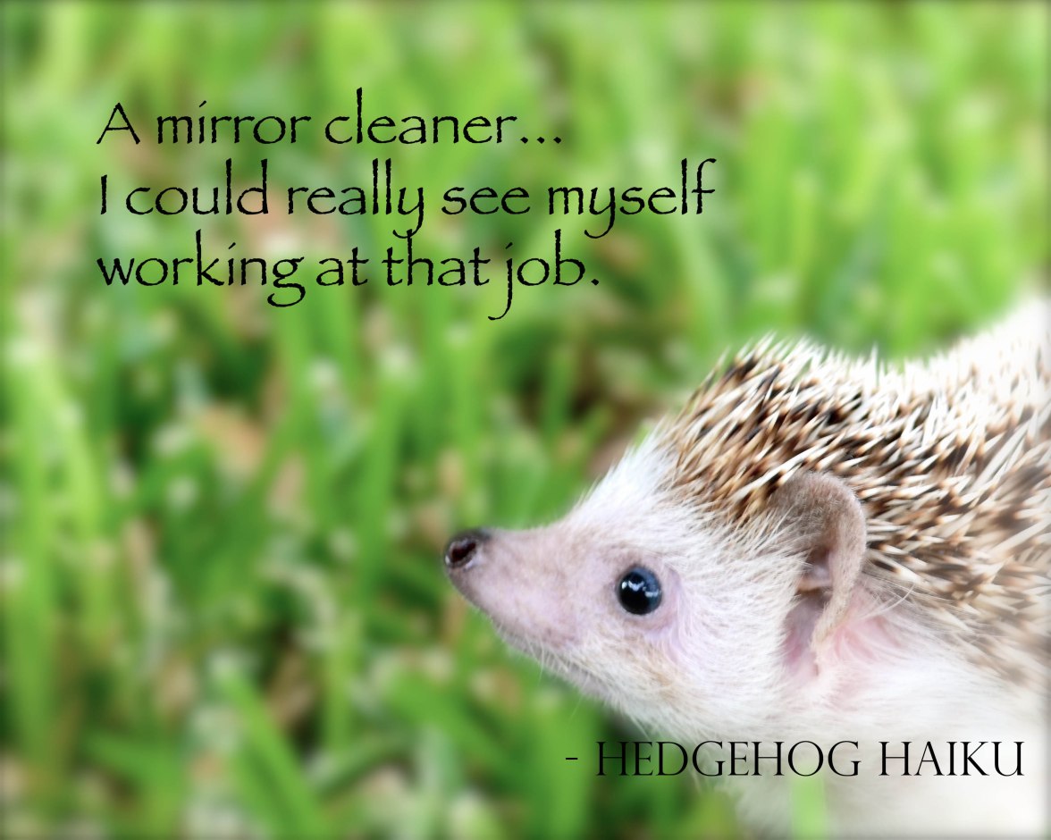 hedgehog haiku