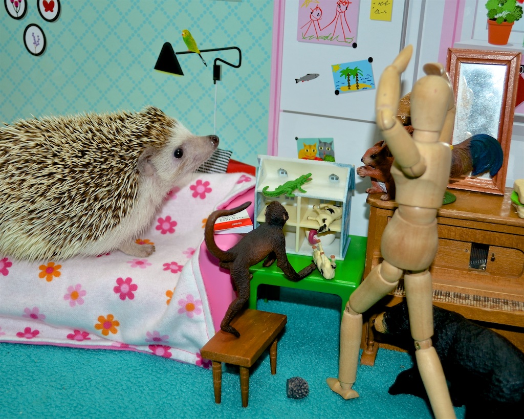 Hedgehog Doll House Sadness