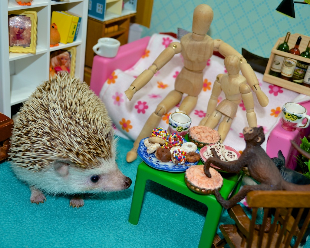 Monkey Touching Food