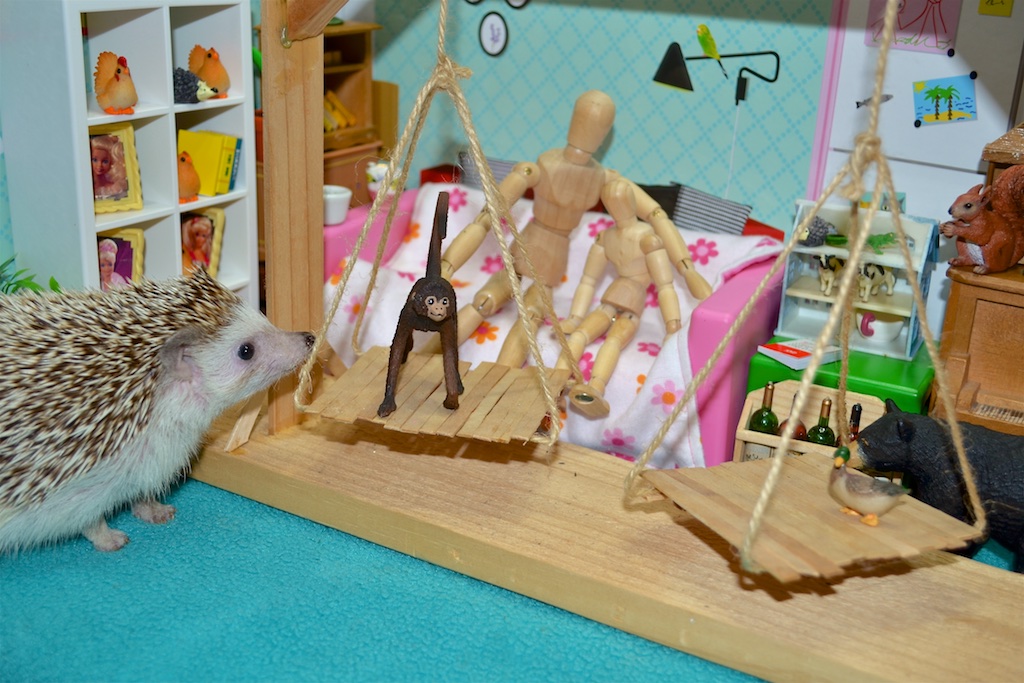 A Witch Trial Using Scales and a Duck