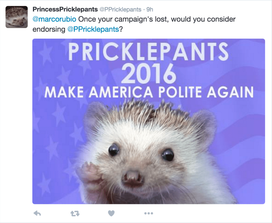 Screen Shot 2016-03-05 at 1.18.15 AM.png