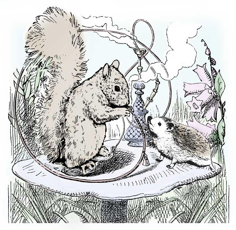 alice_squirrel_color