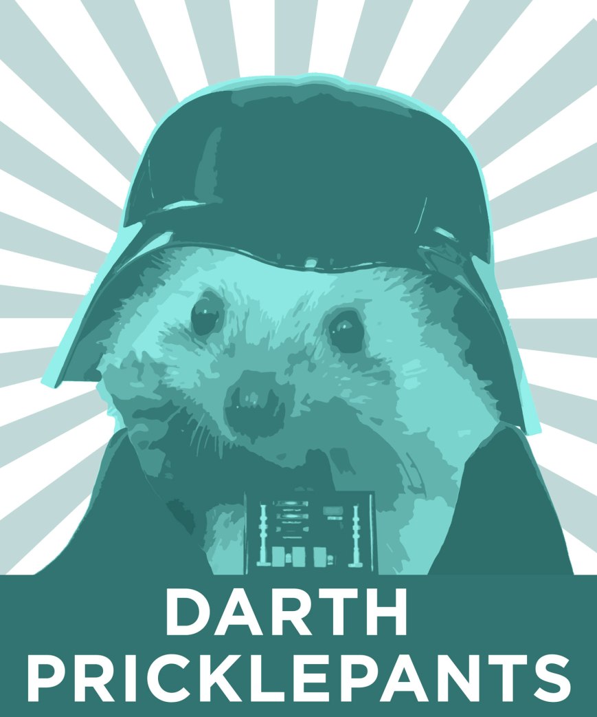 darth-pricklepants.jpg