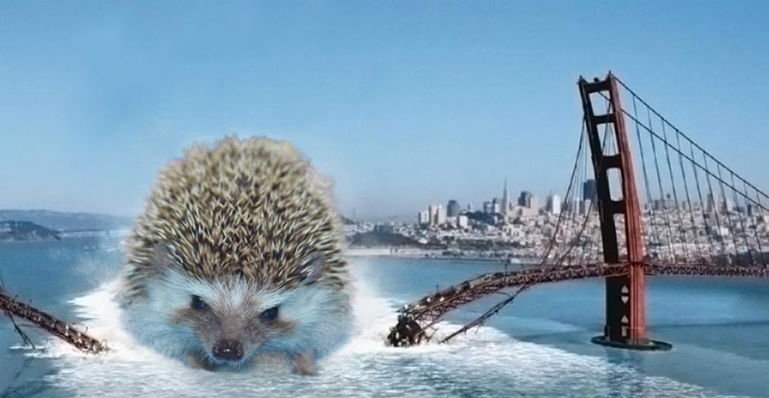 hedgezilla-golden-gate.jpg
