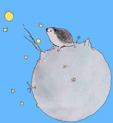 little_princess_shirt