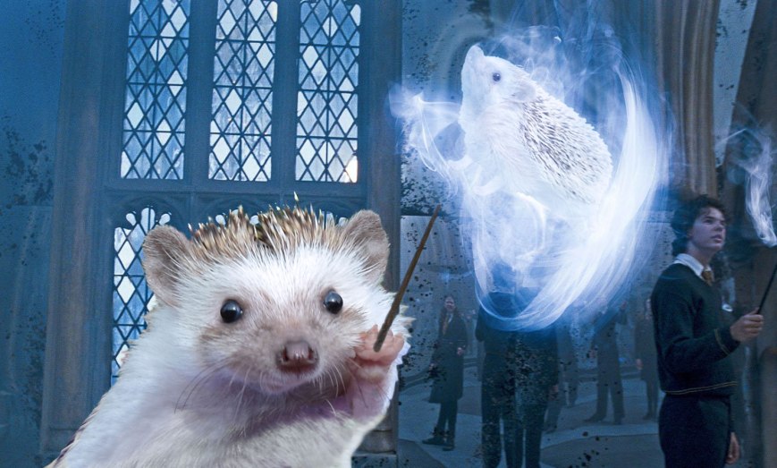 Patronus