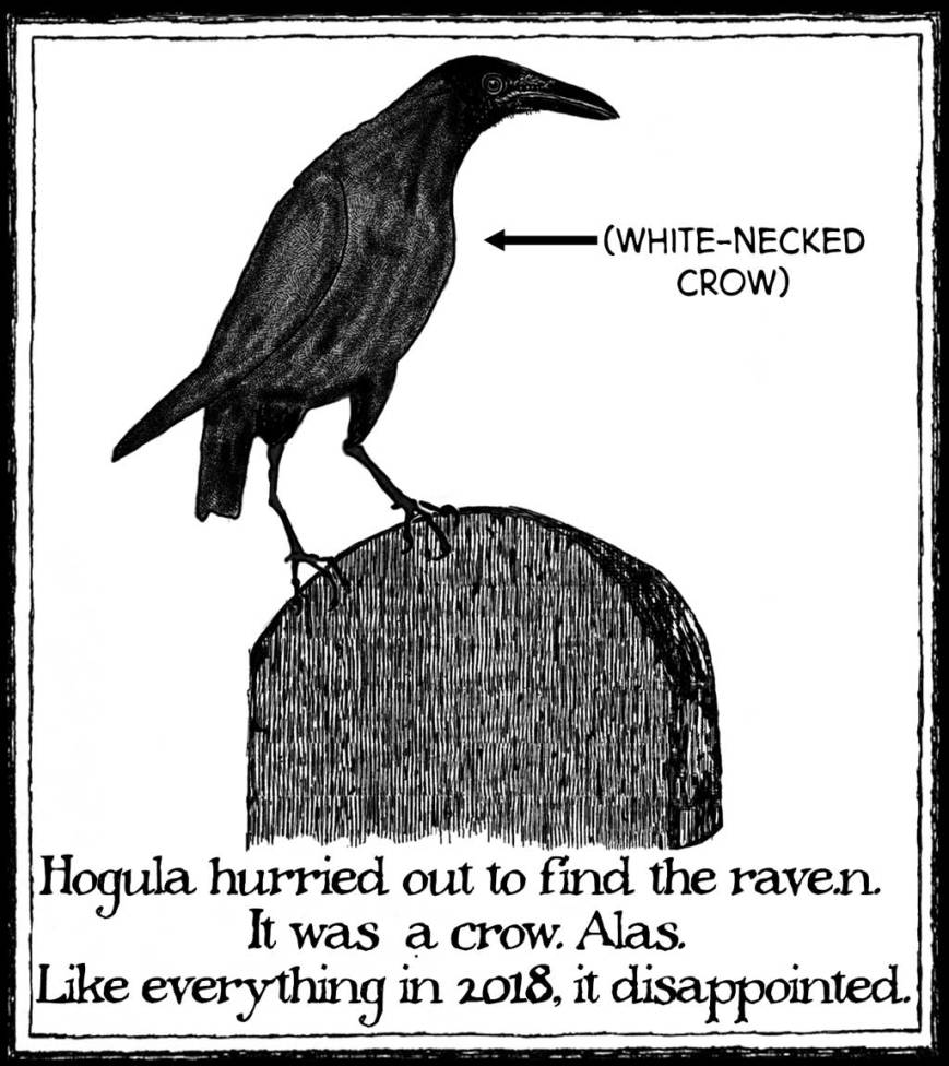 hogula-crow