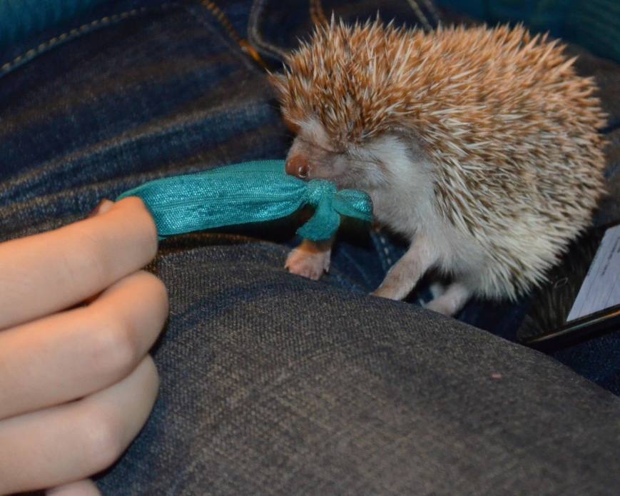 1414971_10202735242206339_2082031691_o