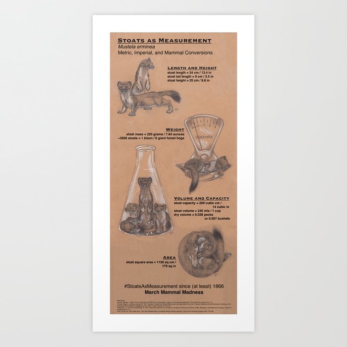 stoats-as-measurement-prints